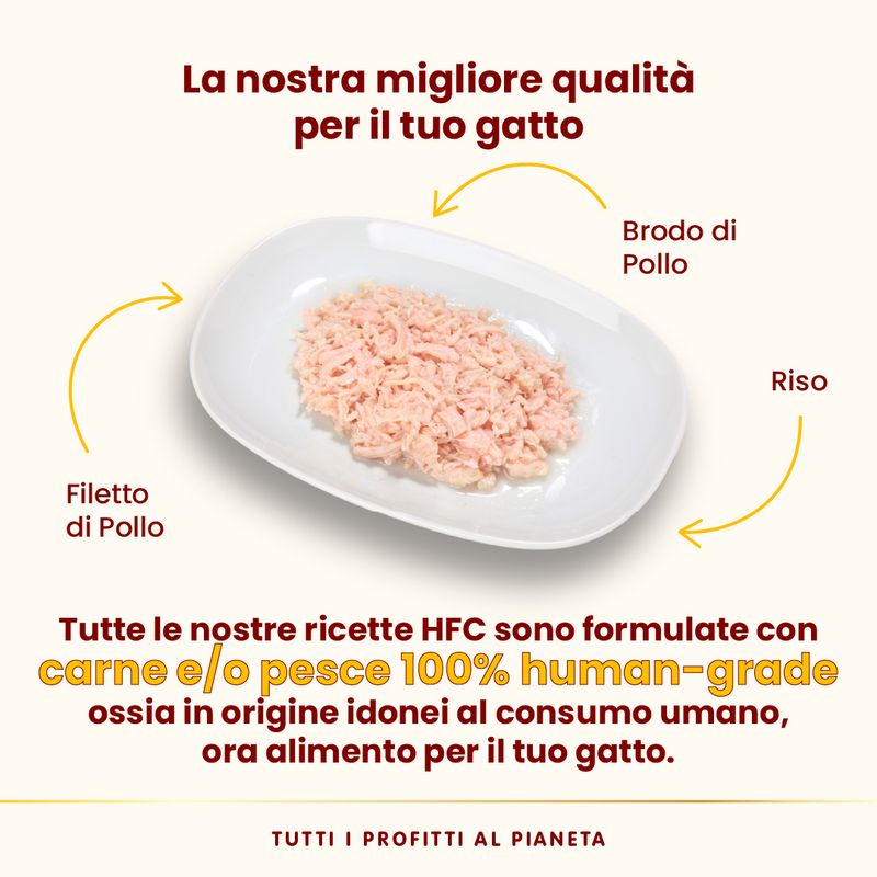 Almo Nature HFC Natural 12 x 70 g umido gatto