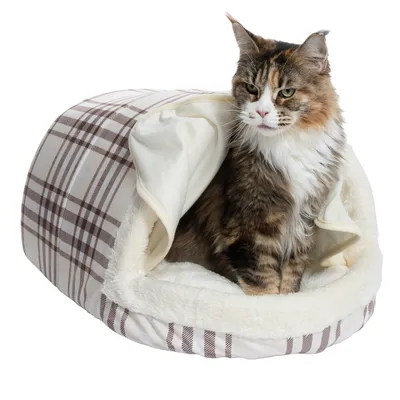 Chat assis dans une niche en tissu à motif écossais beige et marron, intérieur doublé de fausse fourrure blanche.