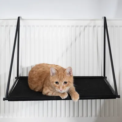 Katzenliege aus schwarzem Stoff mit Metallrahmen, montiert an einem Heizkörper. Rote Katze liegt entspannt auf der Liege.