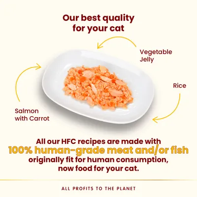 Text: Our best quality for your cat. Salmon with carrot, vegetable jelly, rice. All our HFC recipes are made with 100% human-grade meat and/or fish, now food for your cat. All profits to the planet.