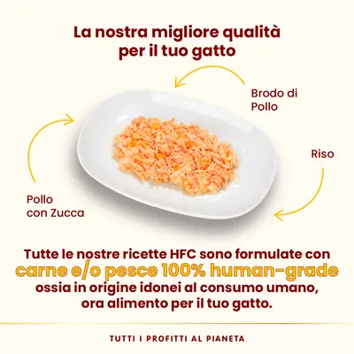 Pollo con zucca, brodo di pollo e riso su piatto. Testo: tutte le ricette HFC con carne e/o pesce 100% human-grade, idonei al consumo umano, ora alimento per il tuo gatto.