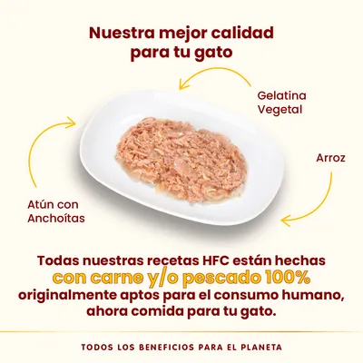 Atún con anchoítas, gelatina vegetal y arroz en plato. Texto: Todas nuestras recetas HFC están hechas con carne y/o pescado 100% aptos para consumo humano, ahora comida para tu gato.