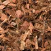 Hugro Coconut Litter