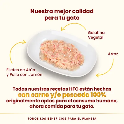 Filetes de atún y pollo con jamón, gelatina vegetal y arroz en plato. Texto: recetas HFC con carne y/o pescado 100% aptos para consumo humano, ahora comida para tu gato.