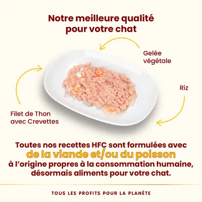 Assiette avec filet de thon, crevettes, gelée végétale et riz. Texte : recettes HFC formulées avec viande et/ou poisson propres à la consommation humaine, désormais aliments pour chat.