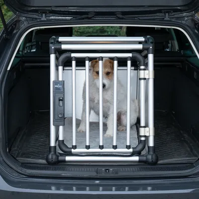 Hund sitzt in einem silbernen Transportkäfig aus Metall mit schwarzen Kunststoffelementen, platziert im Kofferraum eines Autos.