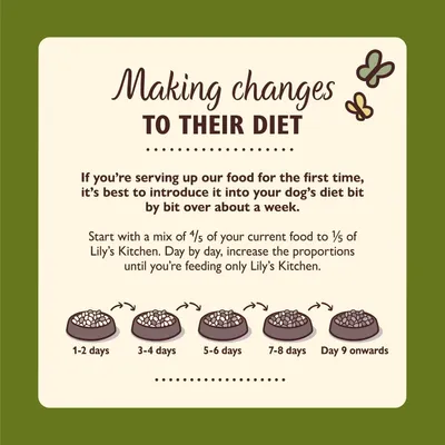 Feeding guide showing gradual change to new food over a week: start with 4/5 current food, 1/5 new food, increase new food daily until only new food is fed from day 9 onwards.