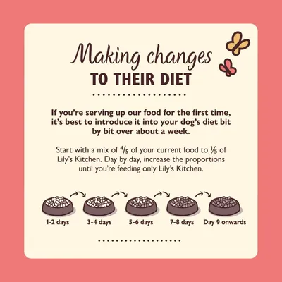 Instructions for gradually changing pet food over a week: start with 4/5 current food and 1/5 new, increase new food daily until only new food is served from day 9 onwards.