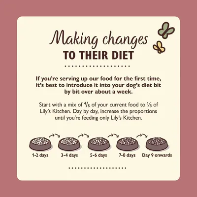Feeding guide showing how to gradually switch to Lily’s Kitchen food over a week, starting with mostly current food and increasing Lily’s Kitchen until fully switched by day 9.