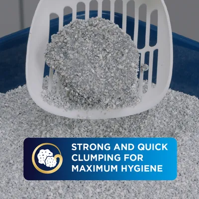 Ever Clean® Clumping Litter Extra Hygiene - Lavender Scent - 10l Ever Clean® Clumping Litter Extra Hygiene - Lavender Scent - 10l