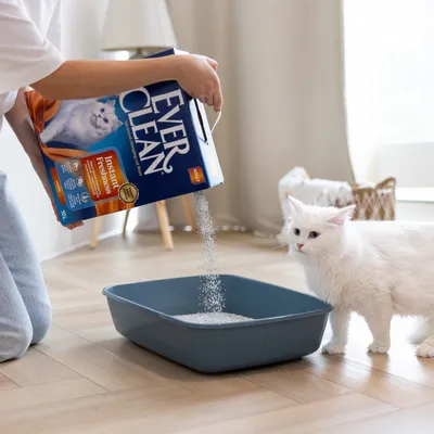 Ever Clean® Clumping Litter Instant Freshness - 10l Ever Clean® Clumping Litter Instant Freshness - 10l