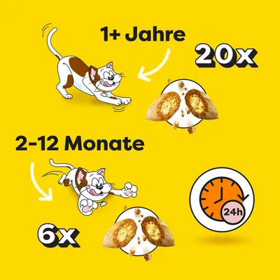 Priporočilo za hranjenje mačk: 1+ let, 20x dnevno; 2–12 mesecev, 6x dnevno. Opozorilo na 24-urni čas hranjenja.