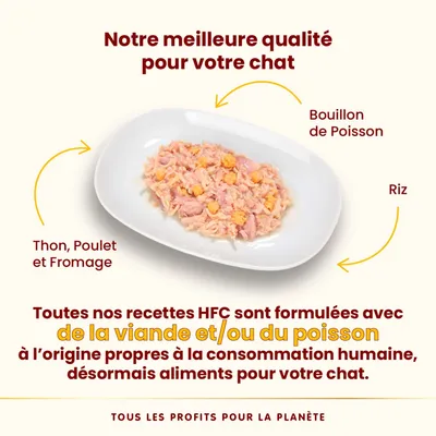 Assiette avec thon, poulet, fromage, riz et bouillon de poisson. Texte : recettes HFC formulées avec viande et/ou poisson propres à la consommation humaine, désormais aliments pour chat.