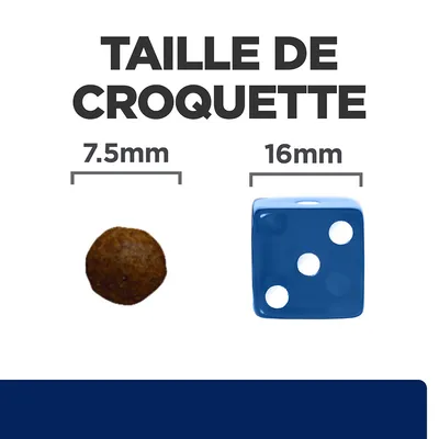 Taille de croquette : diamètre 7,5 mm à côté d’un dé bleu de 16 mm pour comparaison visuelle. Texte visible : TAILLE DE CROQUETTE, 7.5 mm, 16 mm.