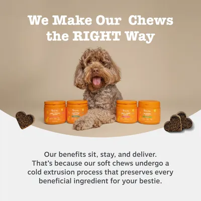 Zesty Paws Omega Skin & Coat Salmon