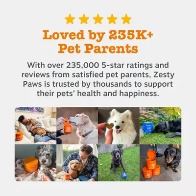 Zesty Paws Senior Advanced 9-i-1 Chews kalkun Zesty Paws Senior Advanced 9-i-1 Chews kalkun