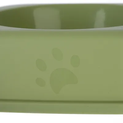 Green feeding bowl with engraved paw print decoration.