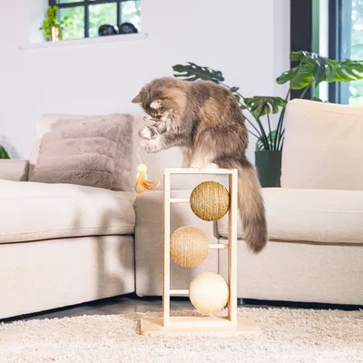 Katzenspielzeug aus Holz mit drei Sisal-Kugeln und hängendem Federanhänger. Katze spielt darauf in Wohnzimmerumgebung.