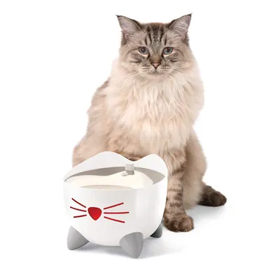 Trinkbrunnen in Katzenform mit rotem Herz und grauen Pfoten, neben einer langhaarigen Katze. Geeignet für Haustiere zur Förderung der Wasseraufnahme.