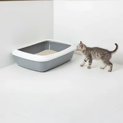 Savic Katzentoilette Iriz mit Rand - 42 cm
