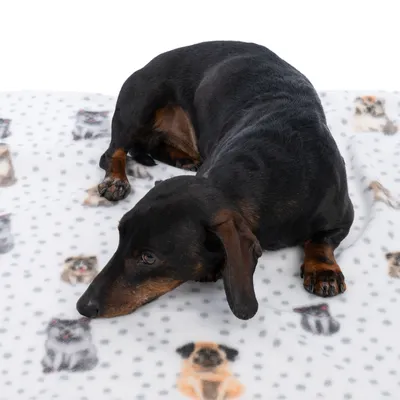 Chien couché sur une couverture blanche à motifs de chiens et points gris, matière polaire visible.