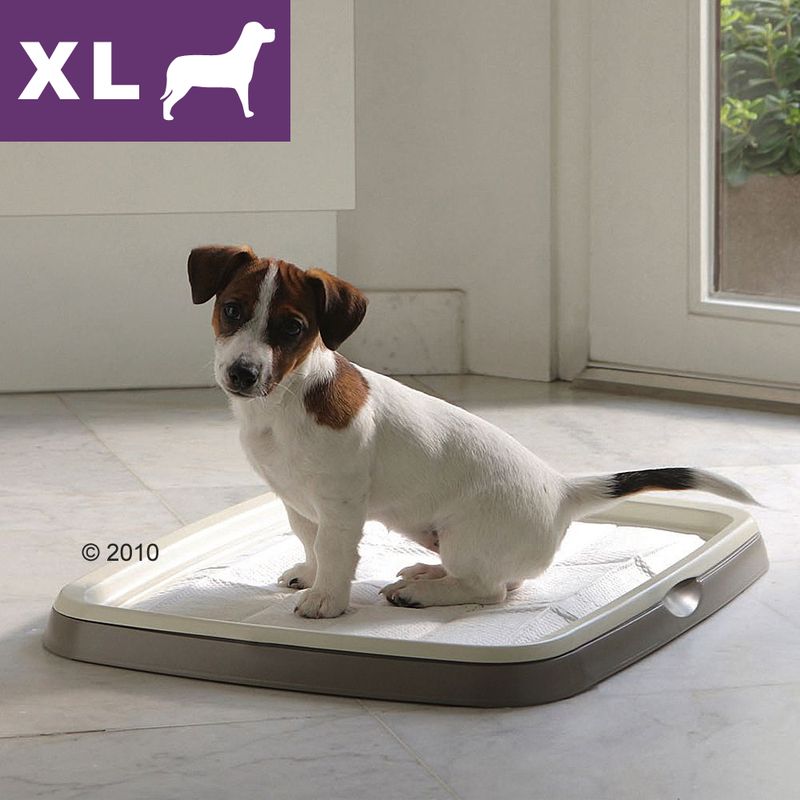 Savic Puppy Trainer Start Set, Extra Large