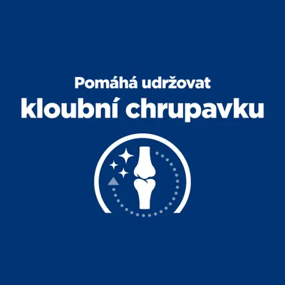 Text v češtine: Pomáhá udržovat kloubní chrupavku, s ikonou kĺbu a hviezdičkami. Text nie je v slovenčine.