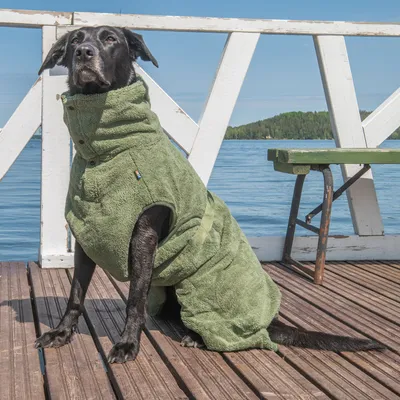 Koira käyttää vihreää froteetakkia, jossa on korkea kaulus ja painonapit, sopii ulkoiluun. Taustalla puulaituri ja järvi.