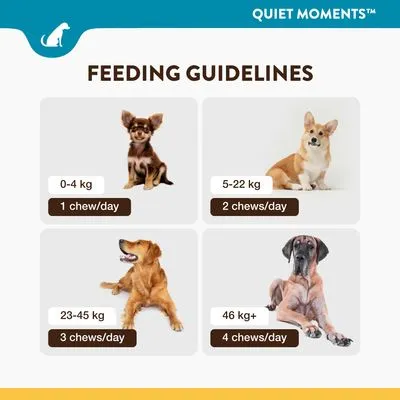 NaturVet Quiet Moments snacks