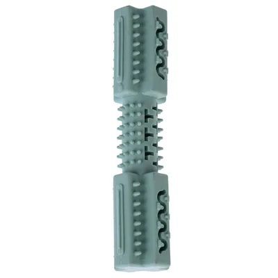 Light green chew toy with knobs and grooves, elongated shape, suitable for dental care.