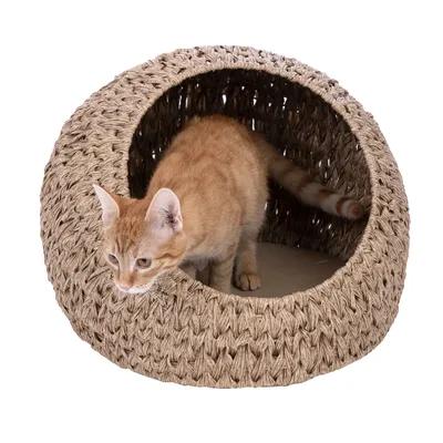 Chat roux dans une niche ronde tressée en fibres naturelles, entrée large à l’avant, coussin intérieur beige visible.