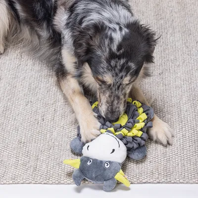 Hund spielt mit einem grauen und gelben Plüschspielzeug in Form einer Kuh auf einem Teppich.