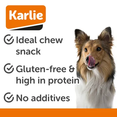 Karlie Chewing Ring with Chicken