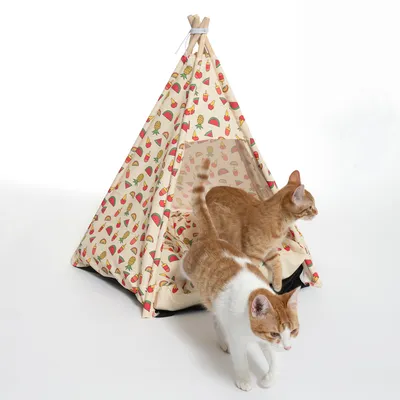 Tente tipi pour chats en tissu imprimé fruits, structure en bois, deux chats roux et blancs visibles devant et à l’intérieur de la tente. Coussin assorti inclus.