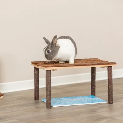 Plataforma de madera con patas de madera natural, adecuada como superficie elevada para pequeños animales. Un conejo está sentado en la plataforma.