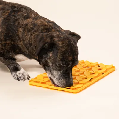 Modern Living Margarita Island nyalószőnyeg Modern Living Margarita Island nyalószőnyeg