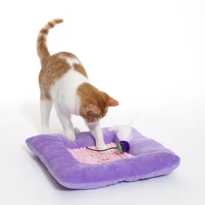 Lila Katzenkissen mit rosa Einsatz und integriertem Spielzeug, bestehend aus einer Feder und einem Ball.