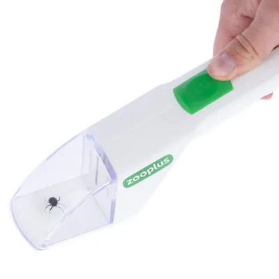 Removedor de carraças da Zooplus com botão verde e câmara de captura transparente, mostra uma carraça no interior. Mão segura o dispositivo para demonstração.