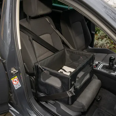 Czarna transportowa klatka przymocowana pasami bezpieczeństwa do fotela samochodowego, widoczne okno z siatki i wyściełane wnętrze.
