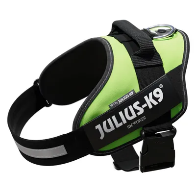 Julius-K9 IDC Power Hundegeschirr in Grün mit reflektierenden Streifen und robustem Verschluss.