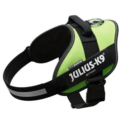 JULIUS-K9 IDC®Power hondentuig in groen met reflecterende band en zwarte gesp, merknaam duidelijk zichtbaar op de zijkant.