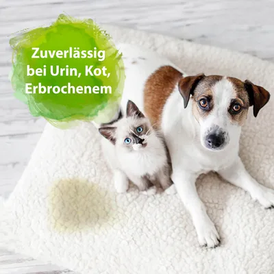 Text: Zuverlässig bei Urin, Kot, Erbrochenem. Katze auf weisser Unterlage mit sichtbarem Fleck.
