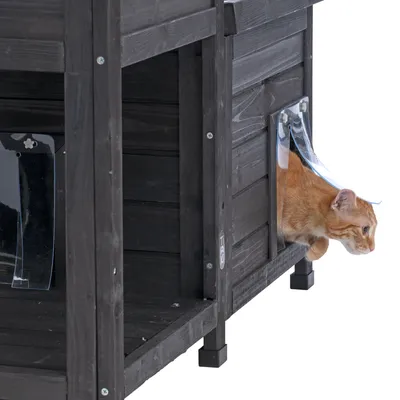 Holz-Katzenhaus mit transparenter Klappe, orangefarbene Katze tritt durch die Tür heraus.