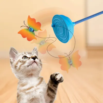 Giocattolo per gatti con farfalle colorate su supporto blu, gatto interagisce giocando con il prodotto.