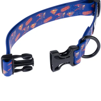 Collier bleu pour chien avec motifs Superman, boucle en plastique noir et anneau métallique noir visibles.
