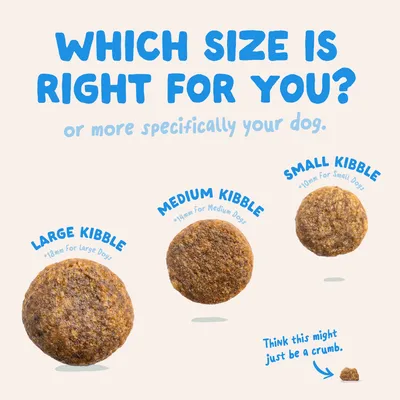 Edgard & Cooper Medium Adult Hond Zalm graanvrij