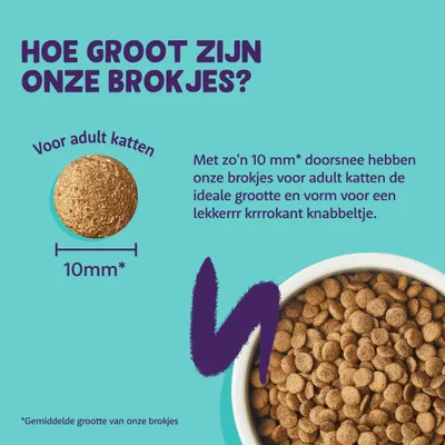 Hoe groot zijn onze brokjes? Voor adult katten. 10 mm doorsnee. Met zo'n 10 mm* doorsnee hebben onze brokjes voor adult katten de ideale grootte en vorm voor een lekker krokant knabbeltje.