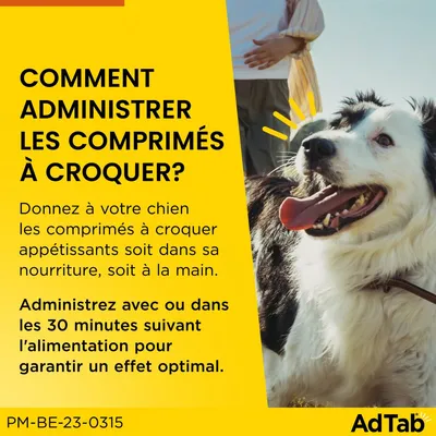 AdTab Comprimés à croquer pour chien de taille moyenne (5,5 à 11 kg)