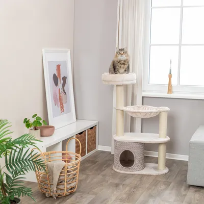 Kratzbaum mit drei Ebenen, Höhle und Liegeflächen aus beigem Stoff. Katze sitzt auf oberster Plattform. Modernes Wohnzimmer mit Pflanzen und Dekoration im Hintergrund.