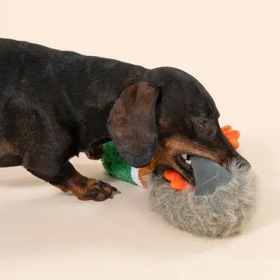 Gioco per cani TIAKI Anatra "Squawk"